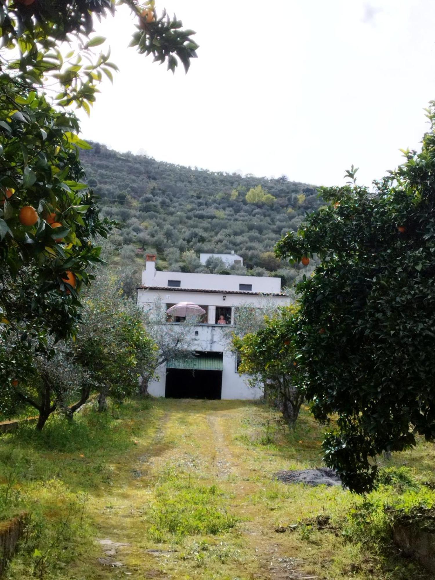 Casa Do Rio Villa Freixo de Espada a Cinta Luaran gambar