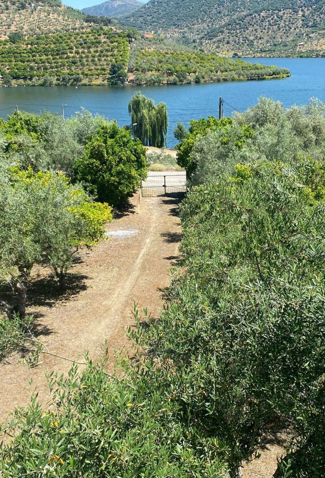 Casa Do Rio Villa Freixo de Espada a Cinta Luaran gambar